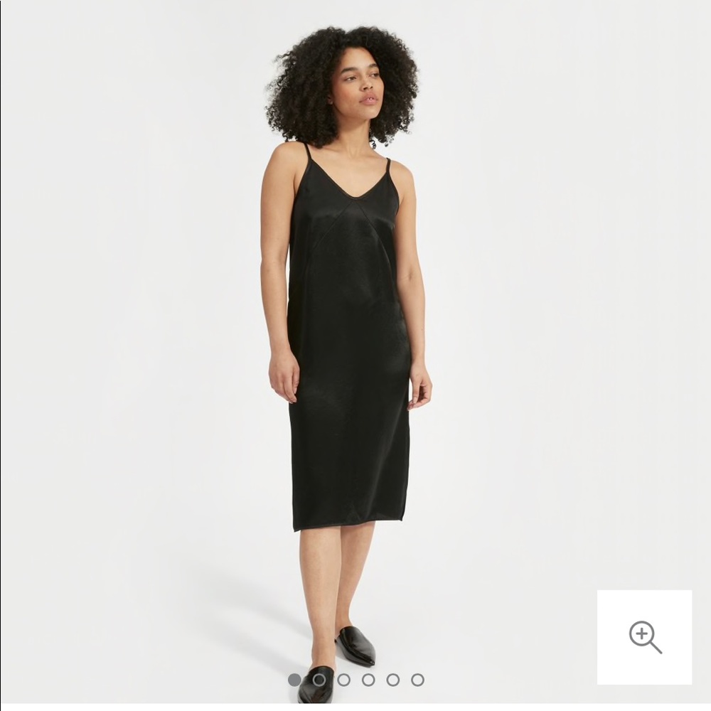 Everlane Party Slip dress